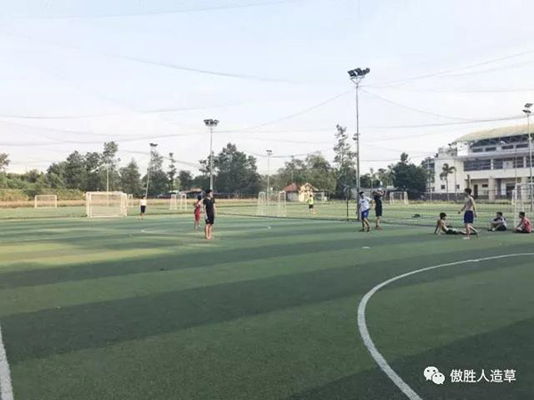 驚嘆｜高頻率使用超六年的球場(chǎng)草坪，竟顏值如新