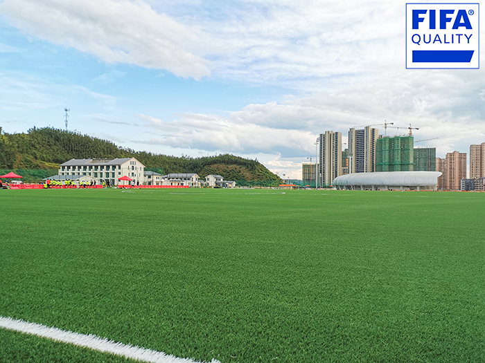 喜訊 | 江西定南國家訓練基地獲FIFA國際足聯場地認證！