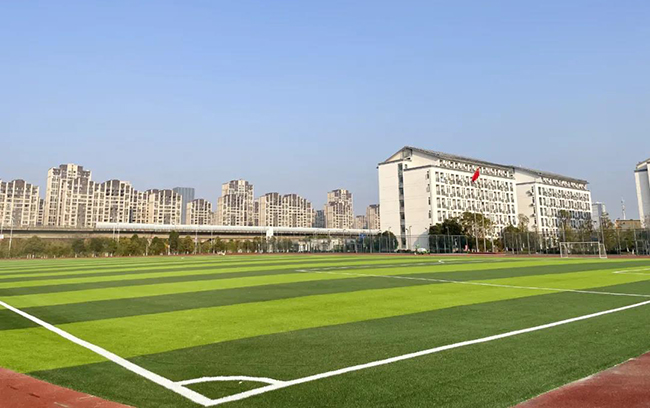 學校體育|體教融合該怎么融？