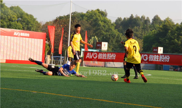 IMG_0776_副本_副本1.jpg IMG_0776_副本_副本1.jpg