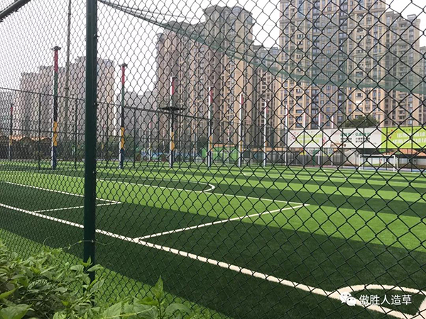 諾斯蒂文化體育公園 諾斯蒂文化體育公園