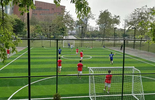 人造草坪場地 人造草坪場地